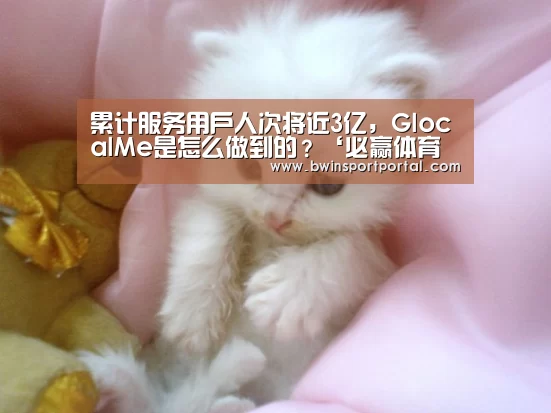累计服务用户人次将近3亿,GlocalMe是怎么做到的?‘必赢体育官网直播’(图2) 必赢官网