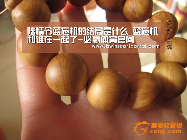 陈情令蓝忘机的结局是什么 蓝忘机和谁在一起了-必赢体育官网(图2) 必赢体育官网